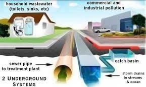 Contamination Impacts graphic