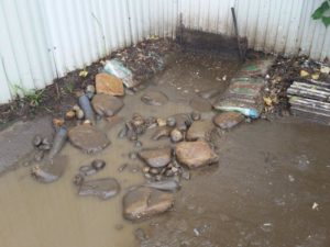 environmental contamination