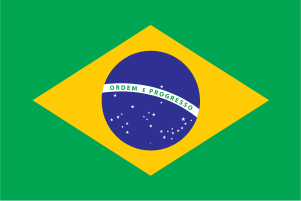 consultoria ambiental no Texas portugues