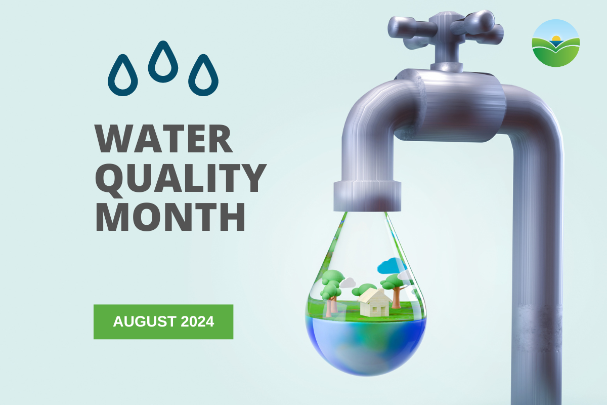 blog graphic for water quality month 
